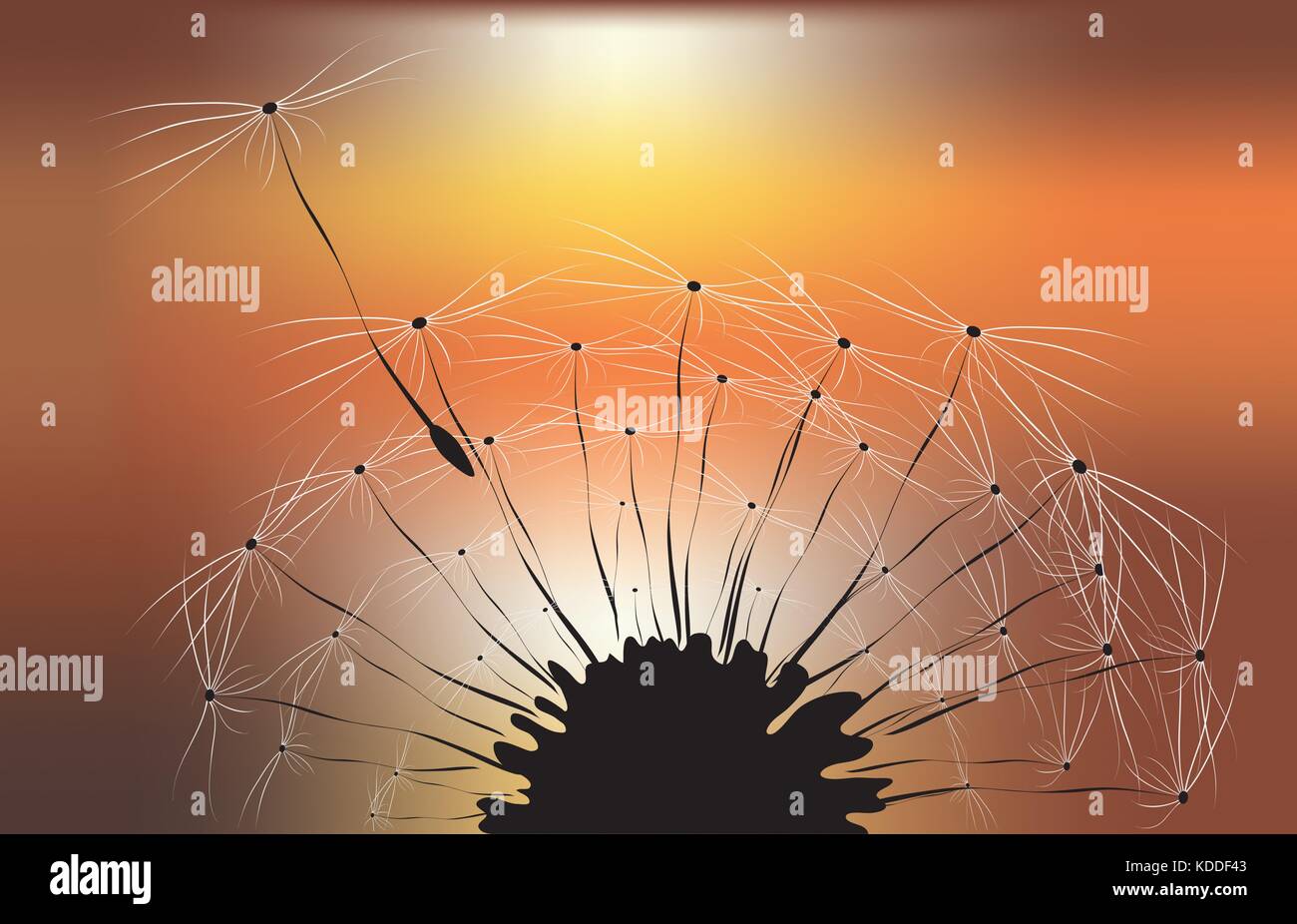 Tarassaco e sfondo al tramonto Illustrazione Vettoriale