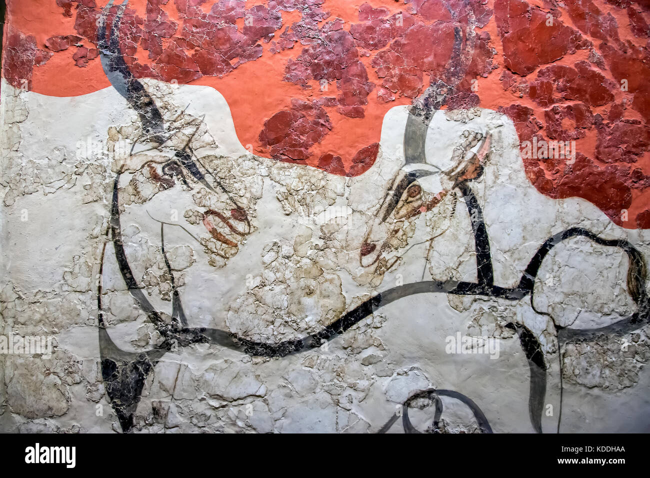 Akrotiri Grecia Antelope affresco murale in Atene Museo Archeologico Nazionale Foto Stock