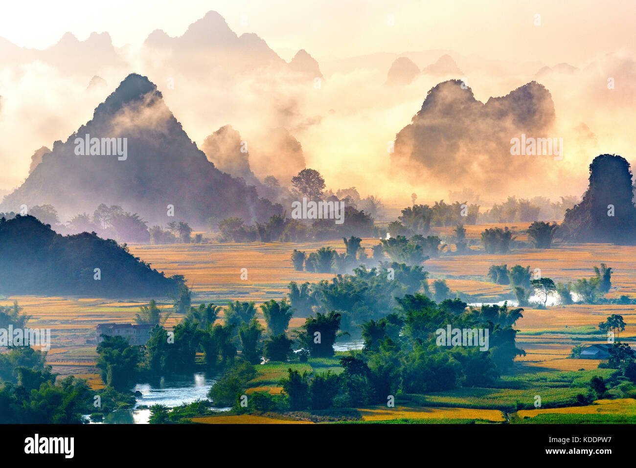 Montagna, riso e campo di riso in Trung Khanh, Cao Bang, Vietnam. Il paesaggio della zona Trung Khanh, Cao Bang, Vietnam. Foto Stock