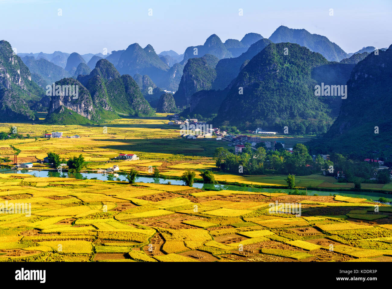 Montagna, riso e campo di riso in Trung Khanh, Cao Bang, Vietnam. Il paesaggio della zona Trung Khanh, Cao Bang, Vietnam. Foto Stock