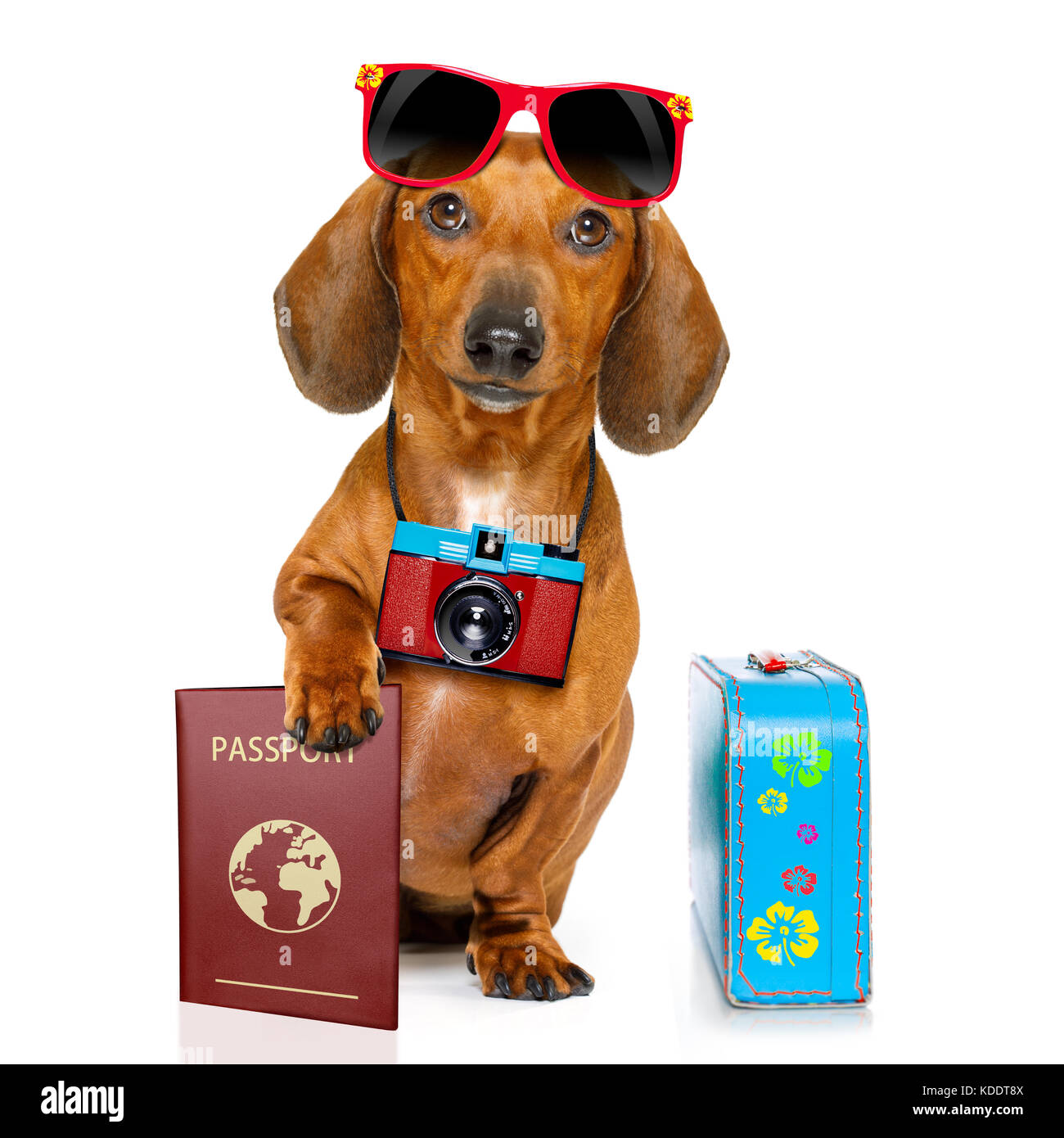 Borsone da viaggio per cani bassotto-salsiccia-cane Borse da