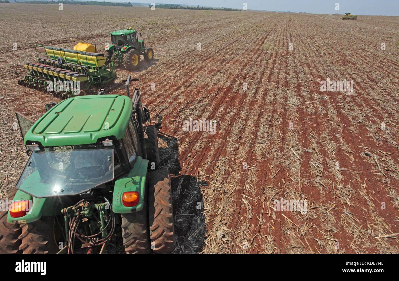 CAMPO Mourão, PR - 13.10.2017: TEMPO SECO FAVORECE PLANTIO DE SOJA NO PR - con più piogge previste per i prossimi giorni, gli agricoltori di campo Mourão, nella regione centro-occidentale di Paraná, hanno approfittato del clima secco per accelerare la piantagione di soia nelle aziende agricole. In una sola settimana, piove circa 230 mm a campo Mourão. Nella foto, i piantatori seminano soia in proprietà rurali a campo Mourão. (Foto: Dirceu Portugal/Fotoarena) Foto Stock
