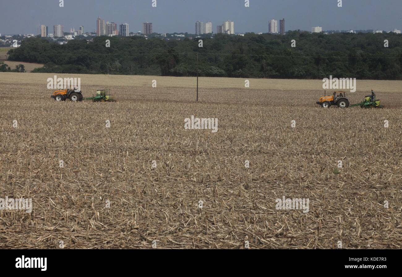 CAMPO Mourão, PR - 13.10.2017: TEMPO SECO FAVORECE PLANTIO DE SOJA NO PR - con più piogge previste per i prossimi giorni, gli agricoltori di campo Mourão, nella regione centro-occidentale di Paraná, hanno approfittato del clima secco per accelerare la piantagione di soia nelle aziende agricole. In una sola settimana, piove circa 230 mm a campo Mourão. Nella foto, i piantatori seminano soia in proprietà rurali a campo Mourão. (Foto: Dirceu Portugal/Fotoarena) Foto Stock