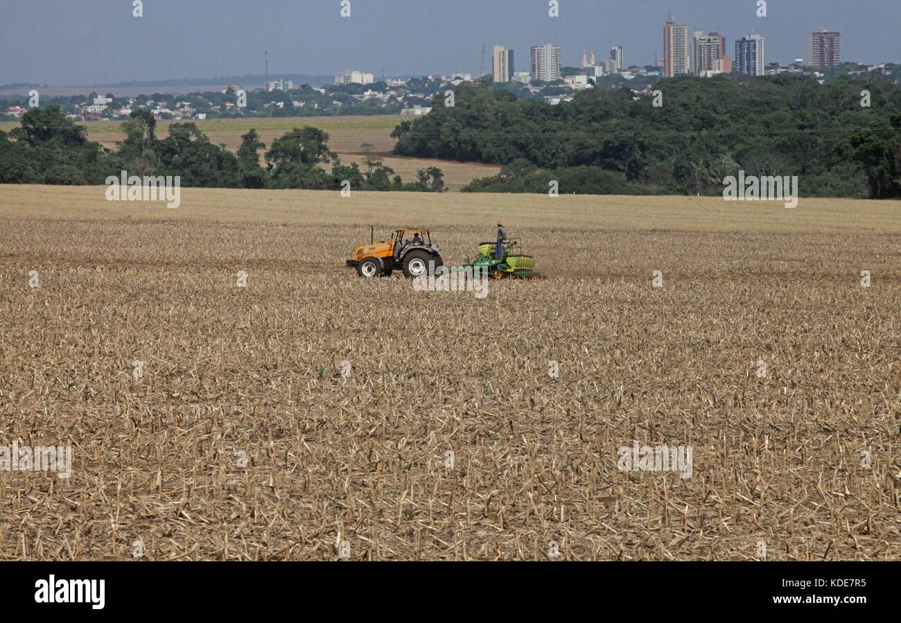 Campo mourão, pr - 13.10.2017: Ritmo seco favorece plantio de soja n. pr - con precipitazioni più atteso per i prossimi giorni, gli agricoltori in campo mourão, nel centro-ovest del Paraná, approfittando del clima secco per accelerare la semina di soia in aziende agricole. in appena una settimana ha piovuto circa 230 mm nel campo mourão. Nella foto, piantatrici seminare i semi di soia sulla proprietà rurale in campo mourão. (Foto: dirceu portogallo/fotoarena) Foto Stock