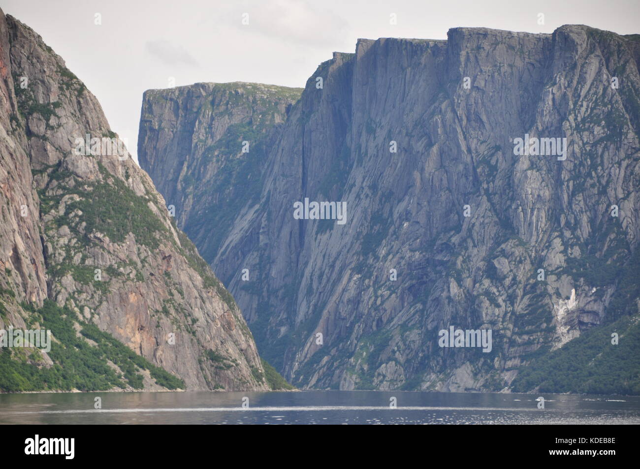 Western Brook Pond, un laghetto di acqua dolce fiordo glaciale situato nel Parco Nazionale Gros Morne, sulla costa occidentale di Terranova, del Canada Foto Stock