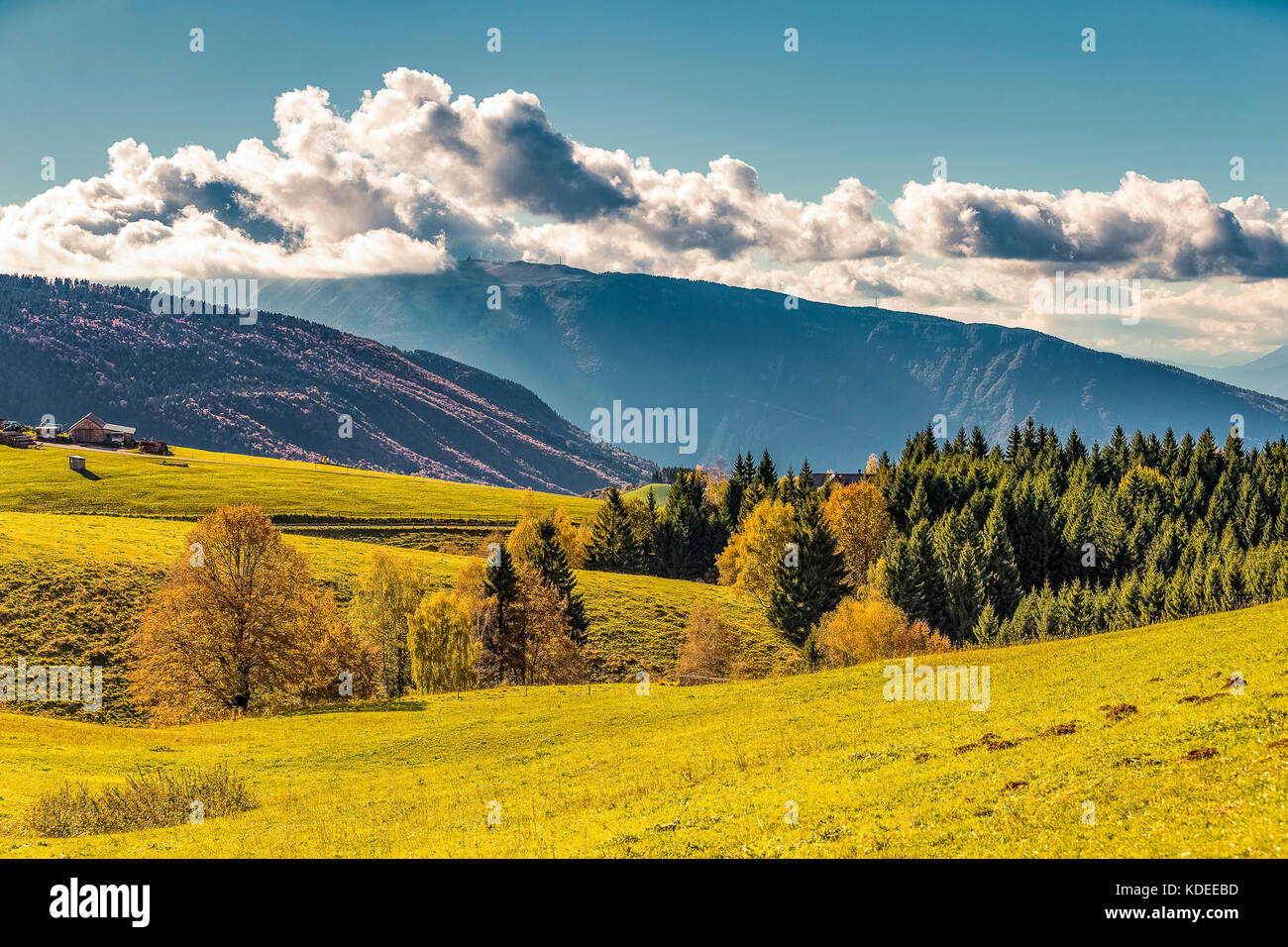 Italia Veneto Cansiglio -alpago - Col Indes Foto Stock