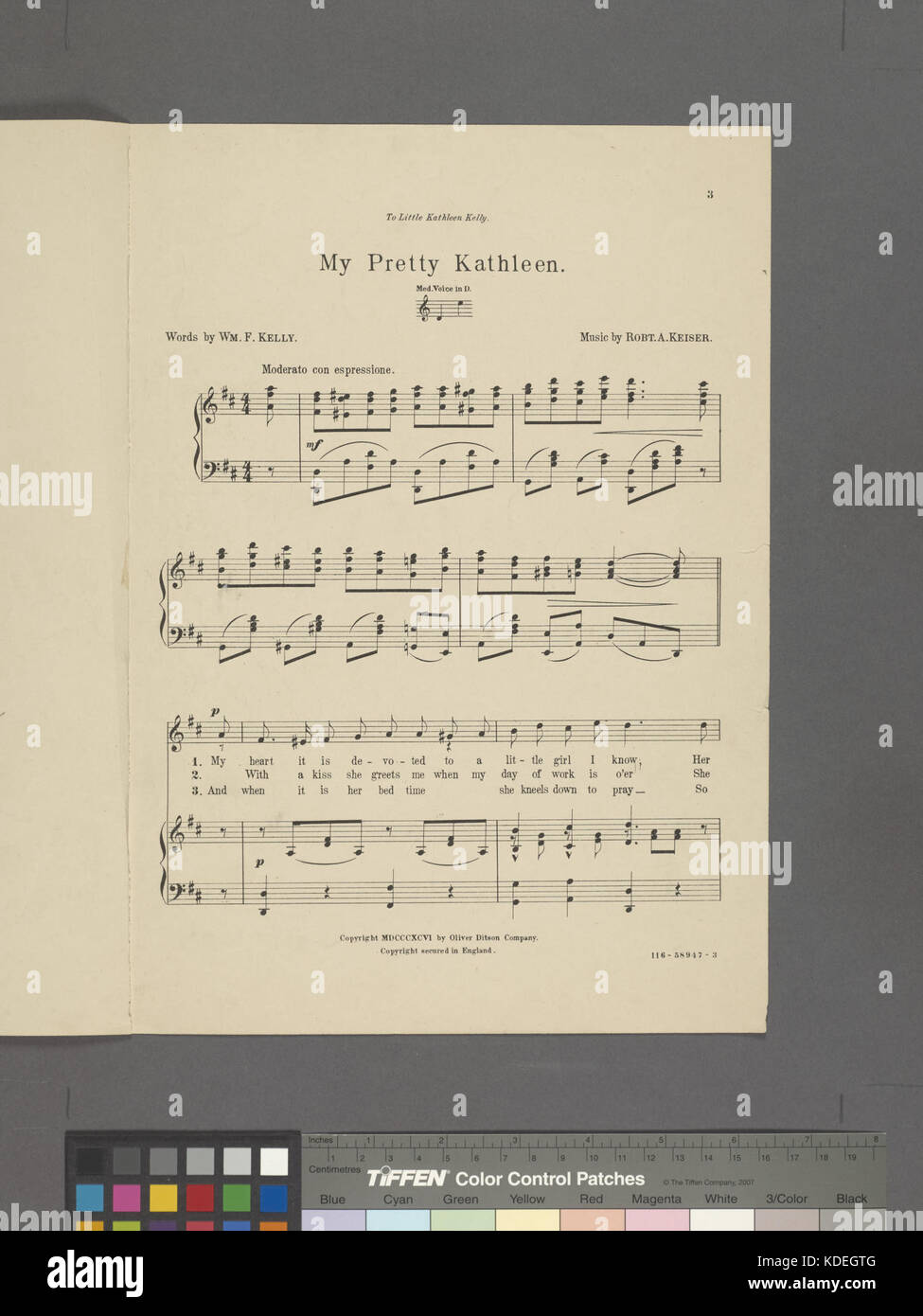 L'immagine intitolata *My Pretty Katleen* fa parte di una collezione tenuta dalla New York Public Library. Questa fotografia è un pezzo storico, raffigurante un ritratto di un'epoca passata. Mette in risalto la moda e gli stili sociali del tempo, offrendo uno sguardo alle preferenze estetiche del periodo. Foto Stock