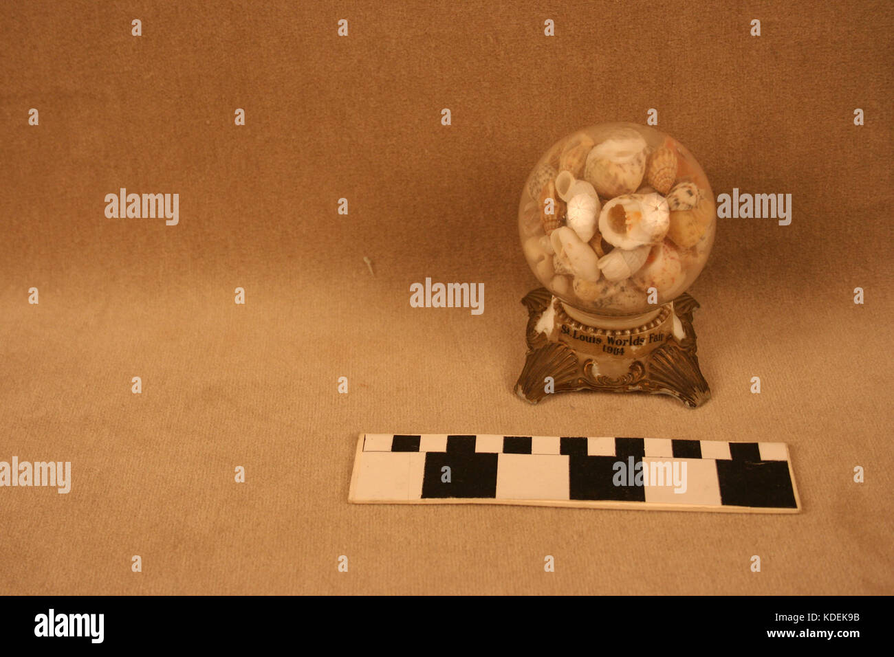 Snowglobe con conchiglie sul latte piedistallo di vetro Foto Stock