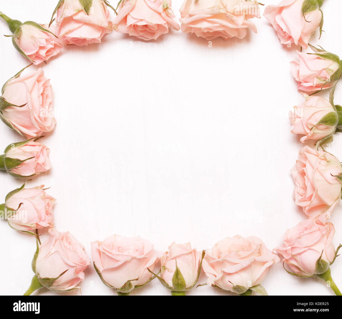Cornice di fiori di colore rosa su sfondo bianco.flat laico, vista  dall'alto Foto stock - Alamy