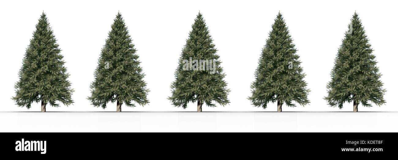 Digital composito di 5 alberi di Natale in una riga con sfondo bianco Foto Stock