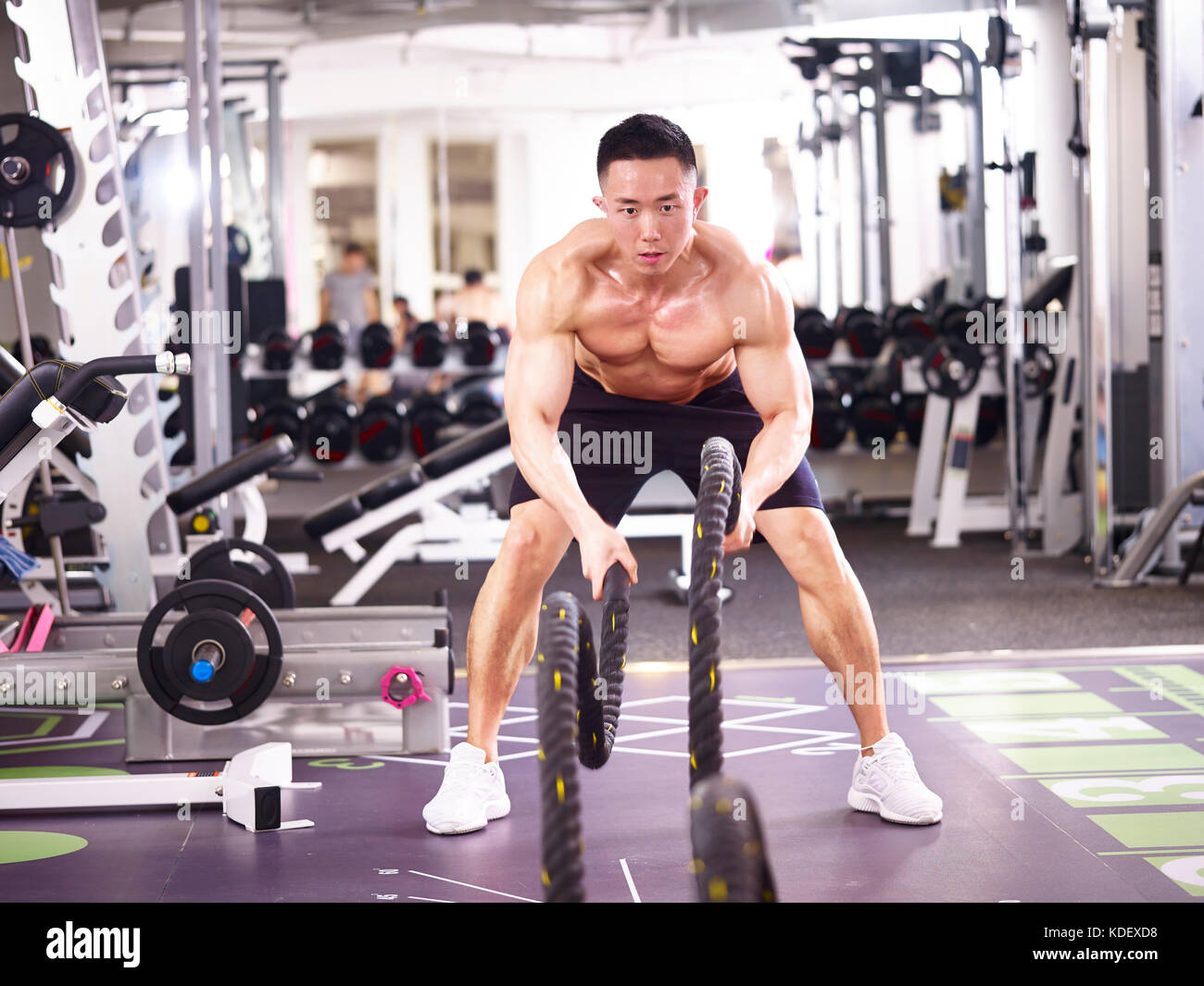 Maschio asiatici bodybuilder che lavora fuori in palestra utilizzando corde di battaglia. Foto Stock