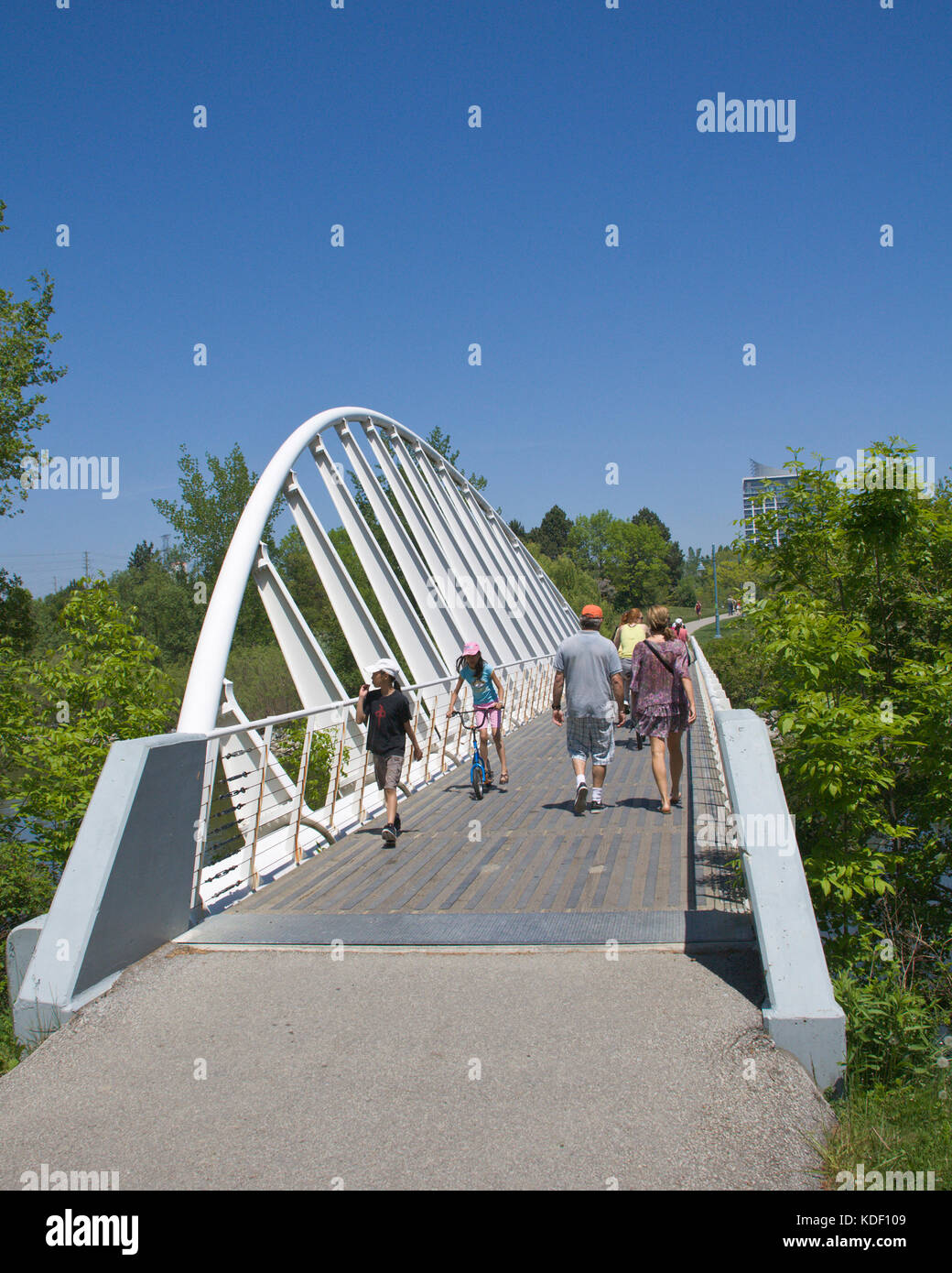 Humber Bay Bridge park toronto Foto Stock