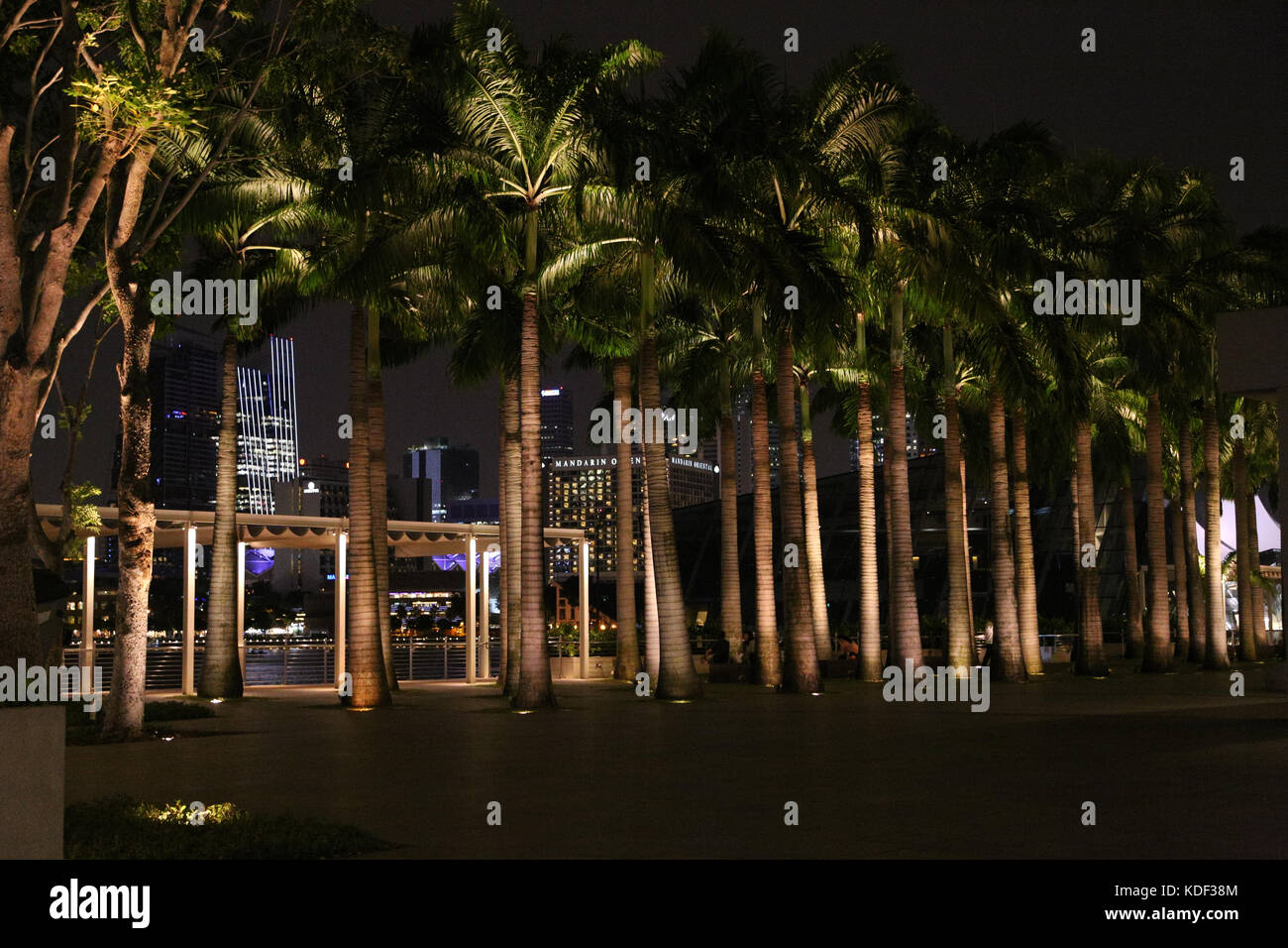 Le palme in Marina Bay Sands, Singapore Foto Stock