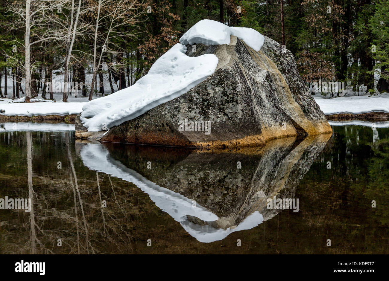 Parco nazionale di Yosemite in California, America Foto Stock