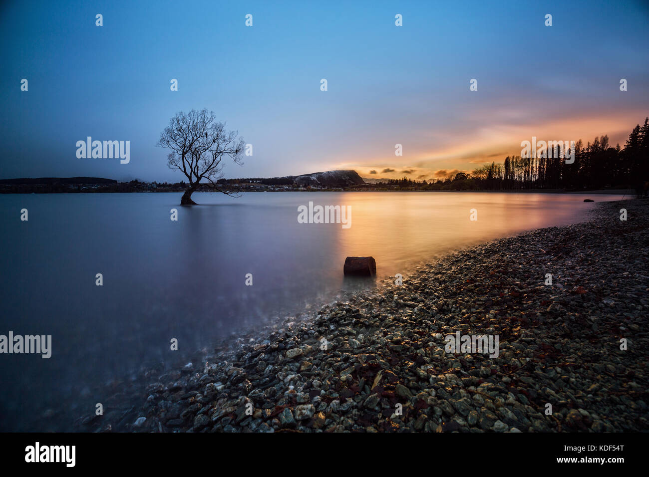 Il lago Wanaka, otago, South Island in Nuova Zelanda con il salice "Lonely' albero. il suo movimento famosi laghi del sud dell'isola. Foto Stock