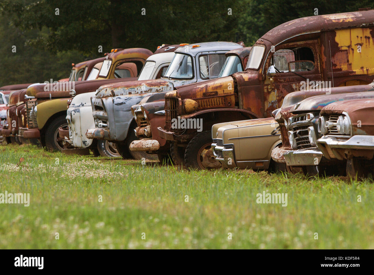 Gainesville, GA, Stati Uniti d'America - 1 giugno 2017: Una fila di vecchie auto e camion scartati siedono tutti in fila in un campo di deposito erboso il 1° giugno 2017 in Foto Stock