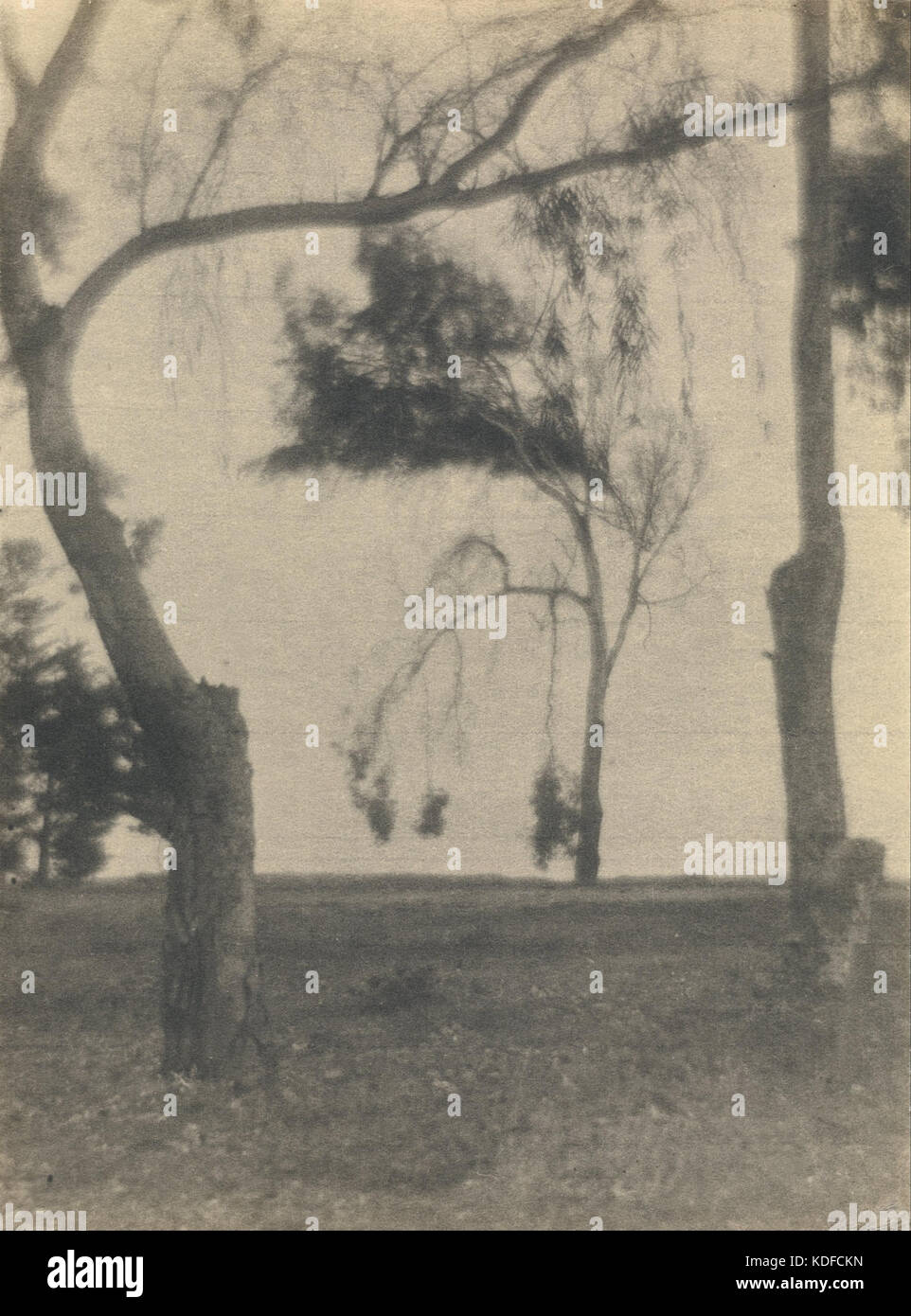 Louis Fleckenstein (American (paesaggio con alberi) Google Art Project Foto Stock