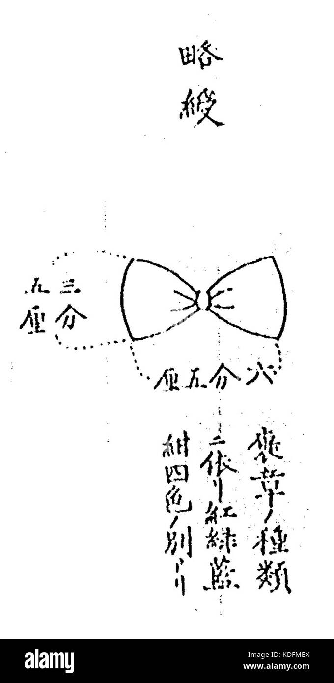 Questa immagine mostra un distintivo di spilla della medaglia d'onore giapponese, assegnato per l'eccellente servizio e i risultati ottenuti in vari campi. Il design riflette il tradizionale simbolismo giapponese e rappresenta il riconoscimento per merito e contributo. Foto Stock