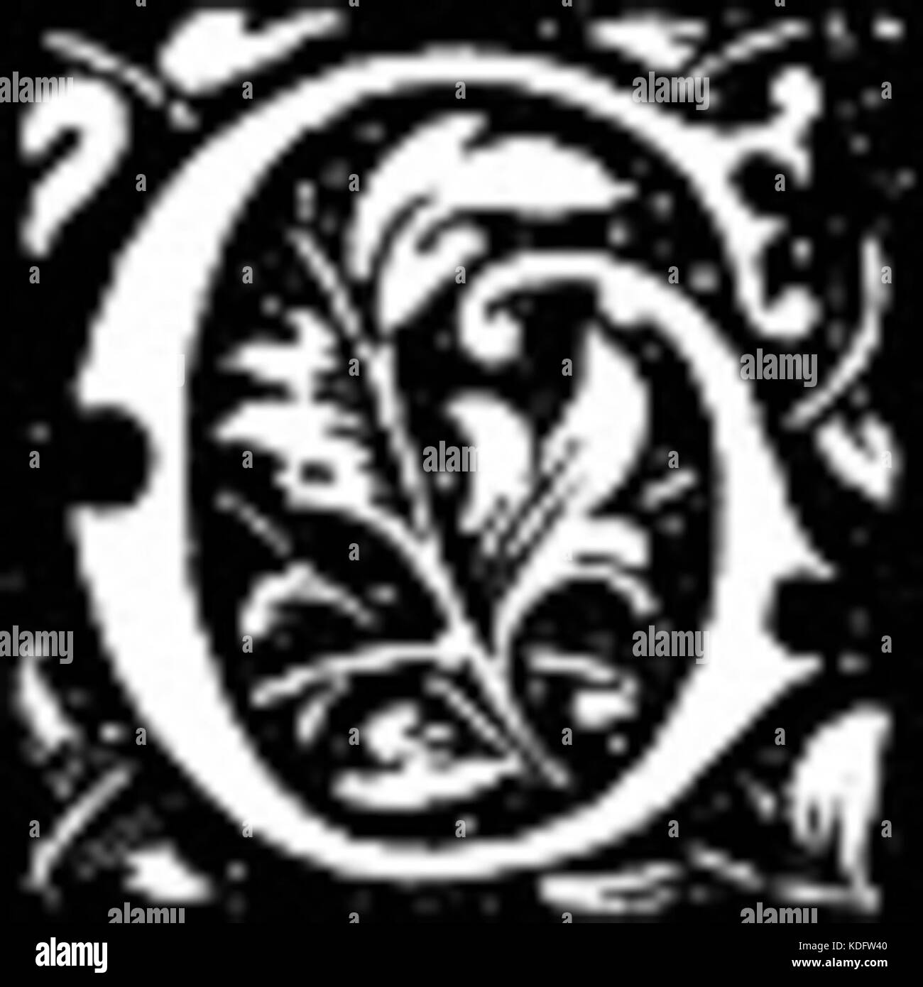 Un'immagine con la lettera G, potenzialmente parte di una serie tipografica o grafica più grande. La lettera è raffigurata in uno stile chiaro e prominente, enfatizzando la sua forma e struttura. Foto Stock