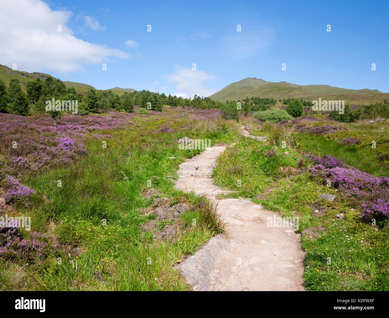 Beinn Ghlas visto dal Ben Lawers Riserva Naturale Nazionale, Ben Lawers gamma, Perthshire Scozia Scotland Foto Stock