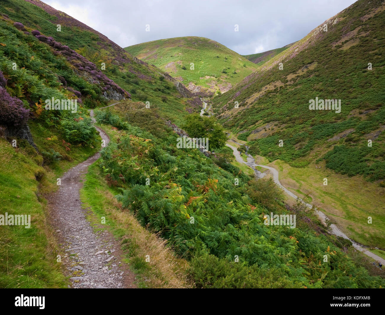 Visualizzare fino Mott's Road sul jack Mytton modo in cardatura Mill Valley sulla lunga Mynd, vicino a Church Stretton in Shropshire Hills AONB Foto Stock