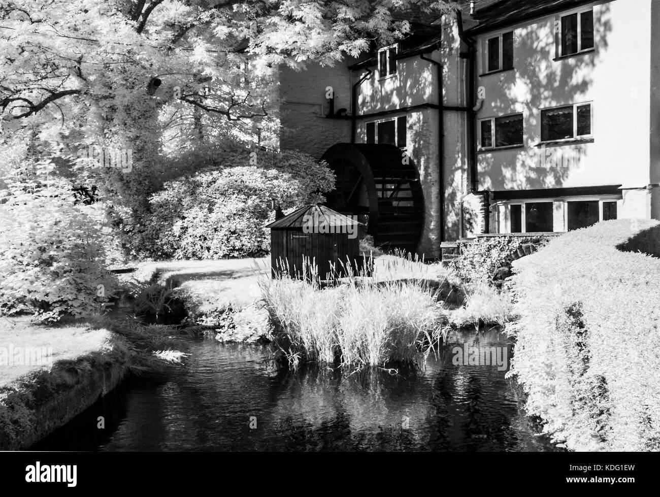 Un piccolo flusso di mulino e la ruota del mulino in Exmoor, Somerset shot a raggi infrarossi. Foto Stock