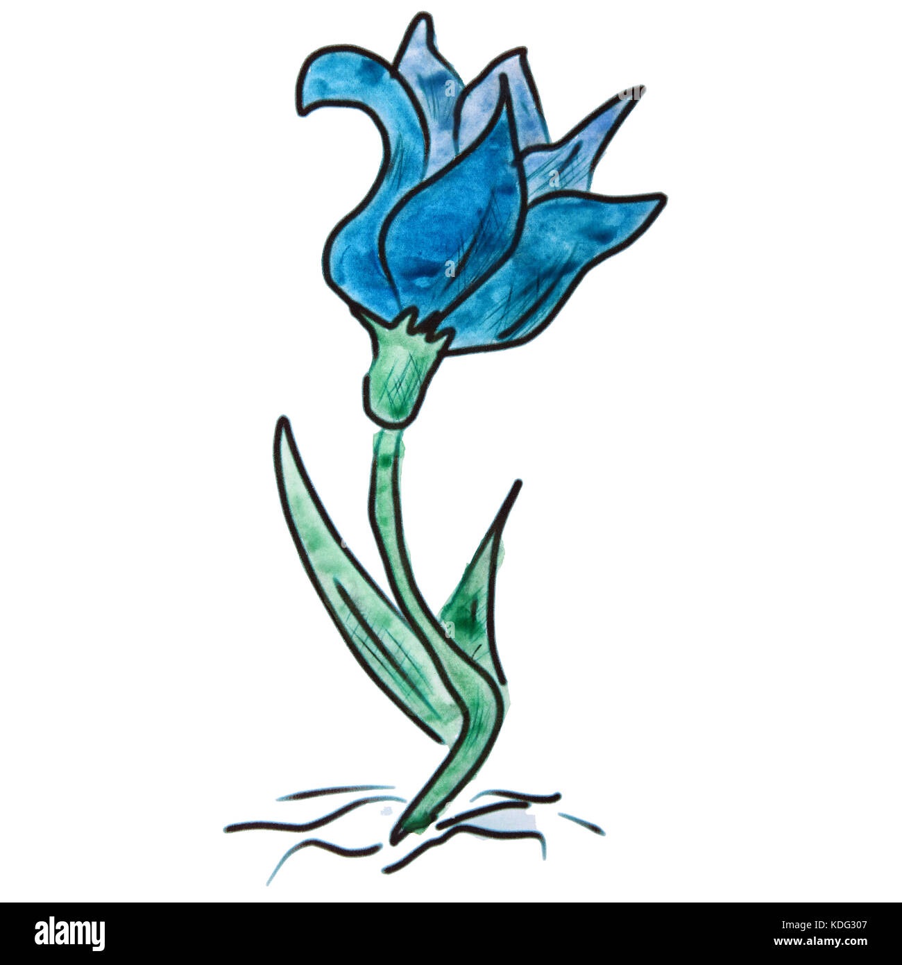 Acquerello blu fiore figura del fumetto, isolato su sfondo bianco Foto Stock