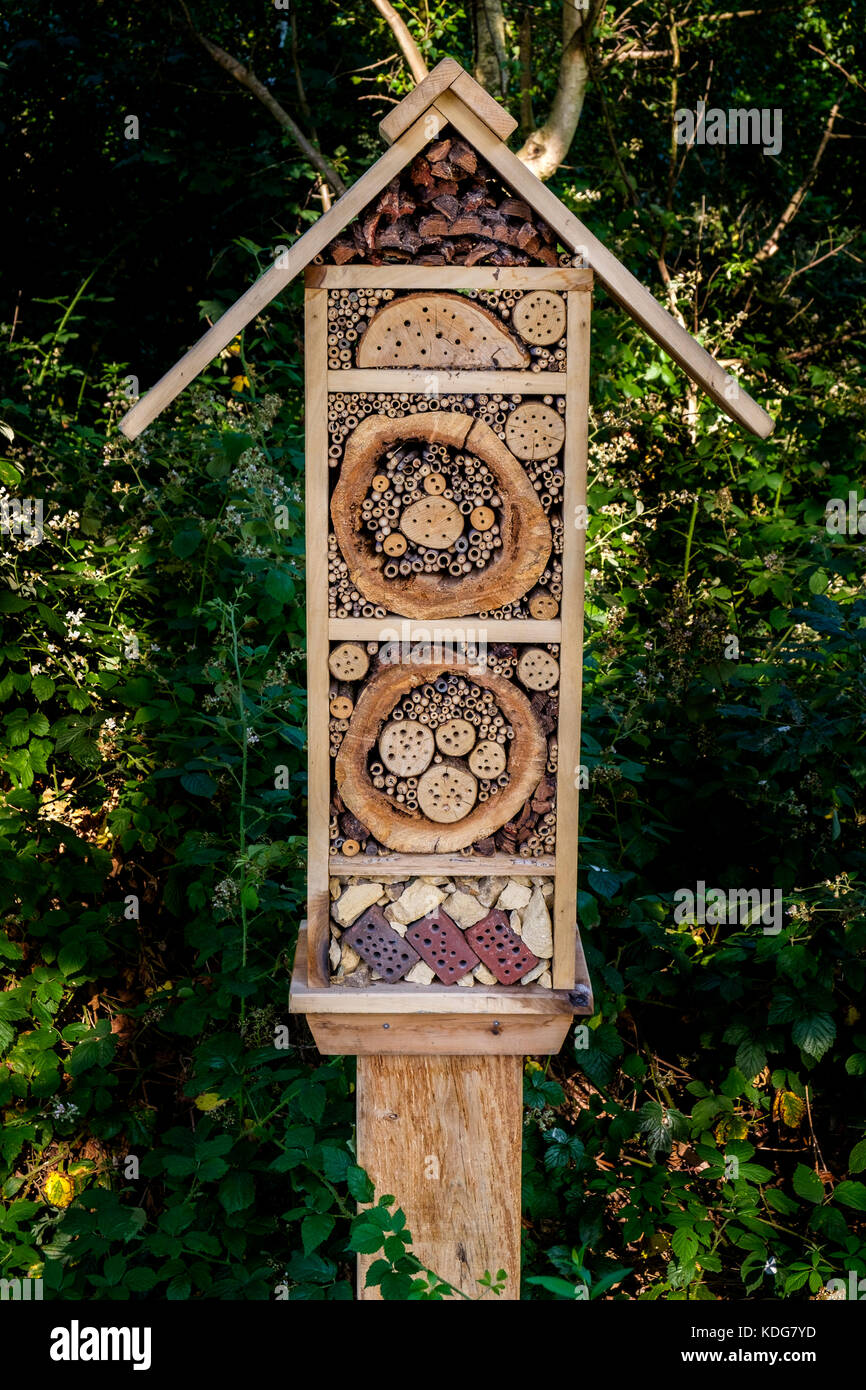 Casella di insetto Bug house Foto Stock