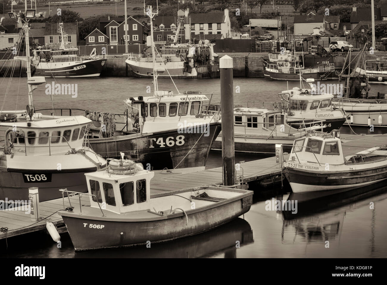 Barche da pesca in Dingle Harbour, nella contea di Kerry, Irlanda Foto Stock