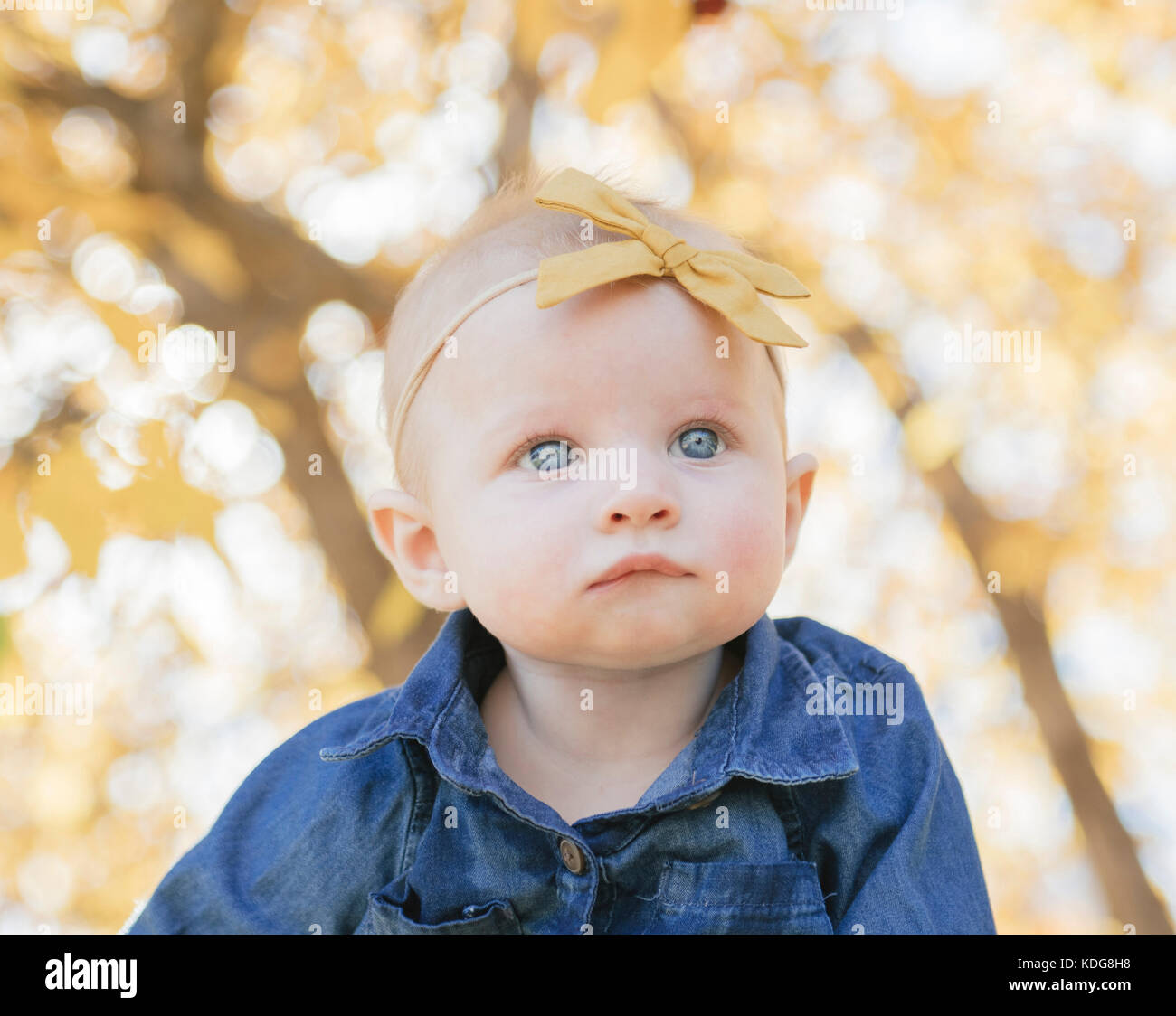 Chiudere fino sulla bambina con fiocco in testa e grandi occhi blu con la  luce del sole e gli alberi in background Foto stock - Alamy