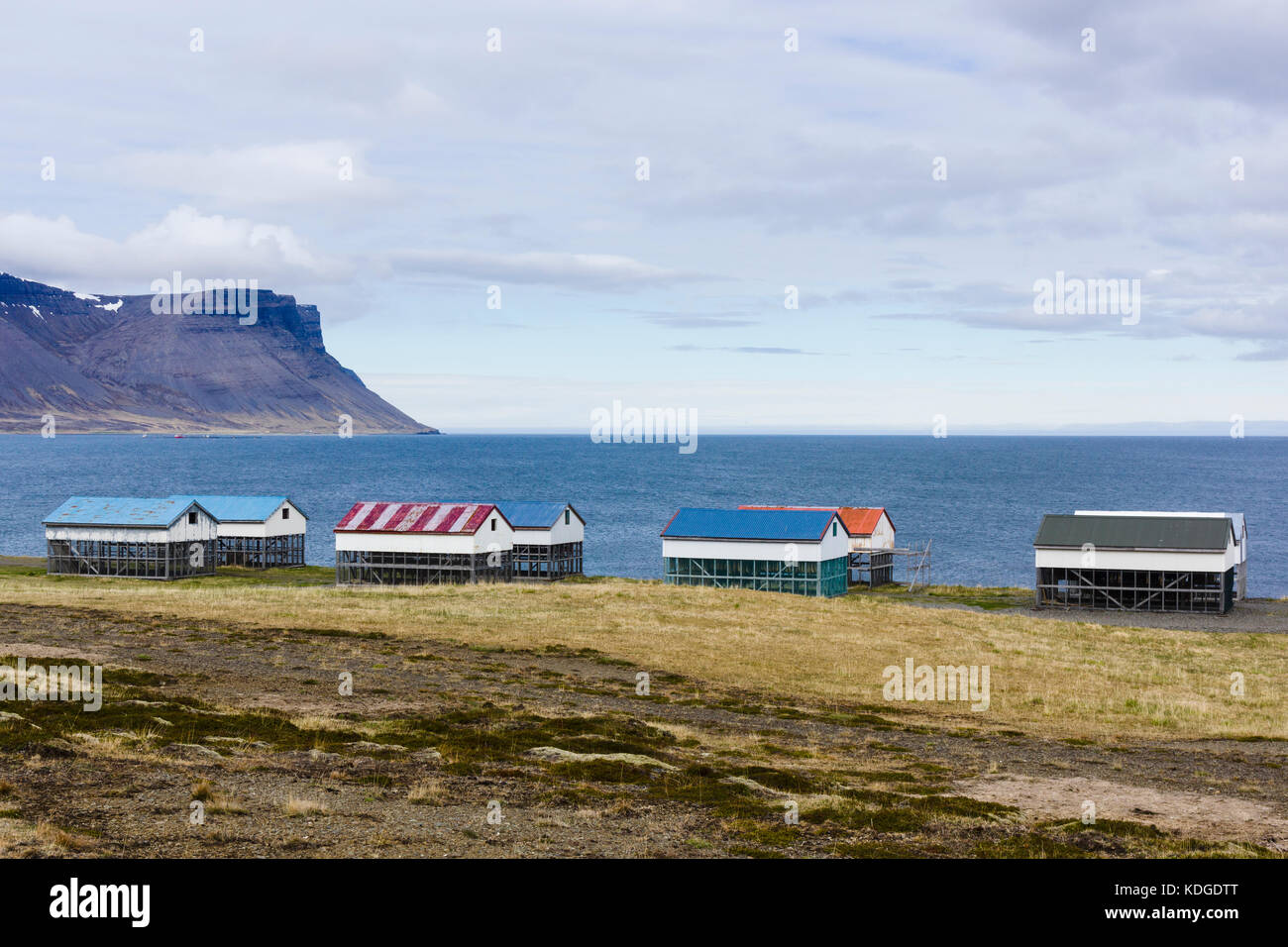 Capanne di essiccazione del pesce, Þingeyri, Westfjords, Islanda Foto Stock