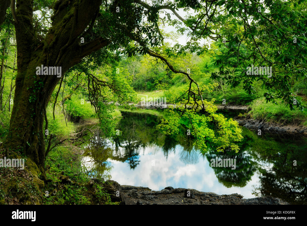 Ancora acque del fiume ballynahinch. connemara. contea di Galway, Irlanda Foto Stock