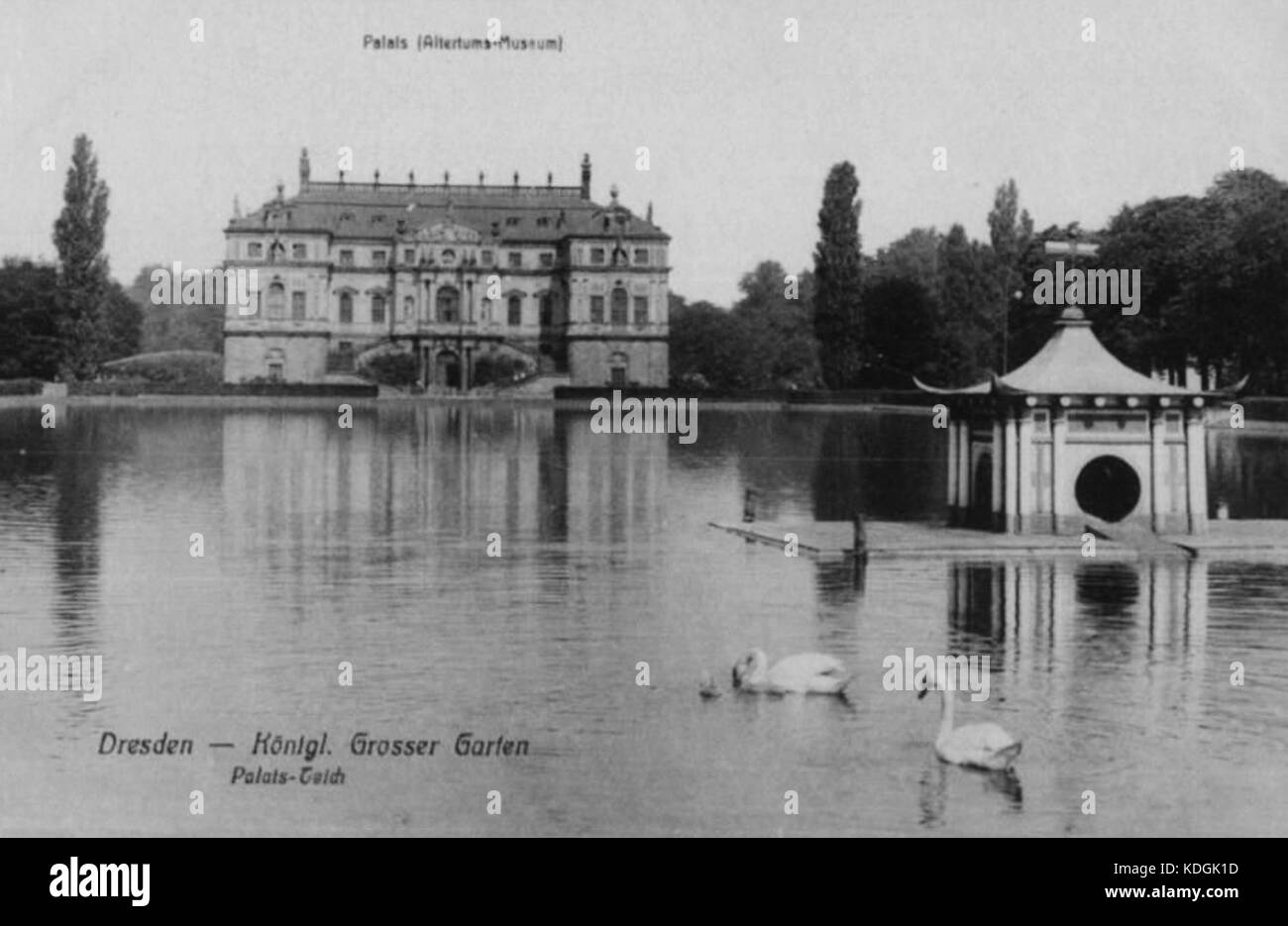 Dipinto di swan house su una zattera fisso Foto Stock