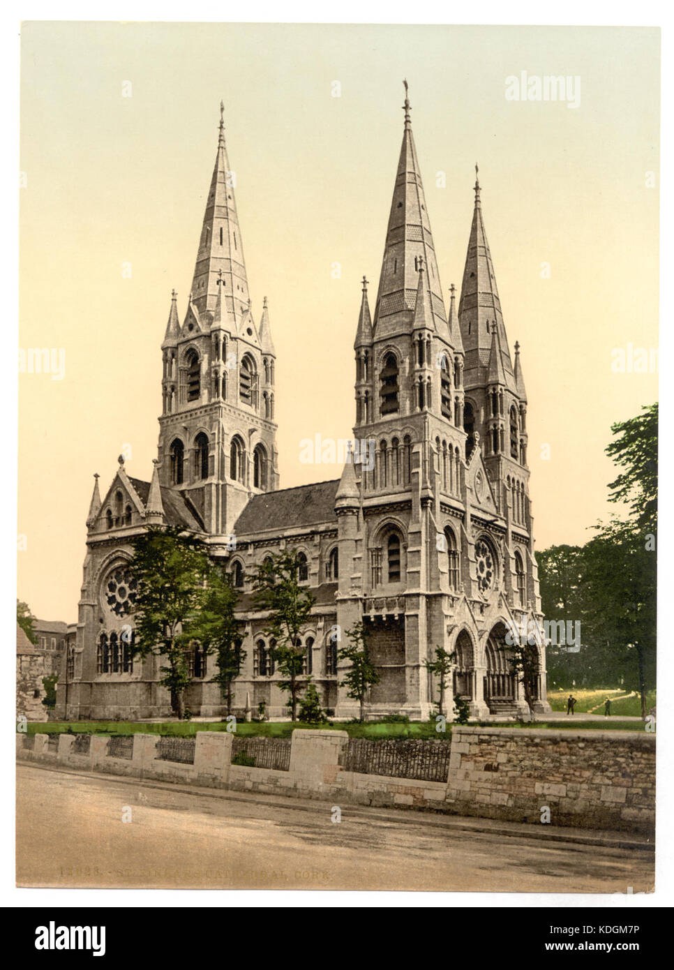 San Finbar cattedrale. Contea di Cork, Irlanda LCCN2002717384 Foto Stock