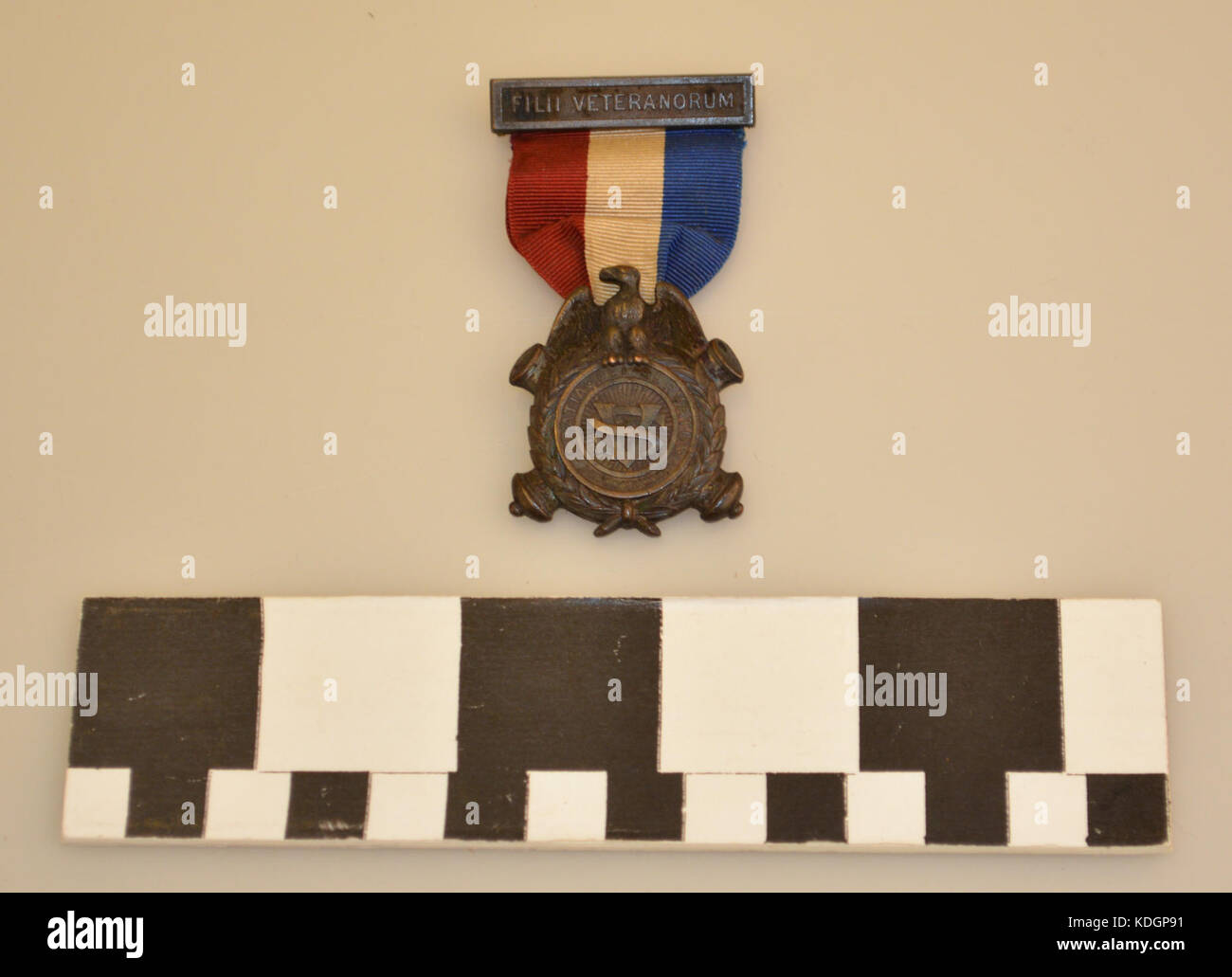 Figli di Veterani Unione medaglia di David Grier Perkins Foto Stock