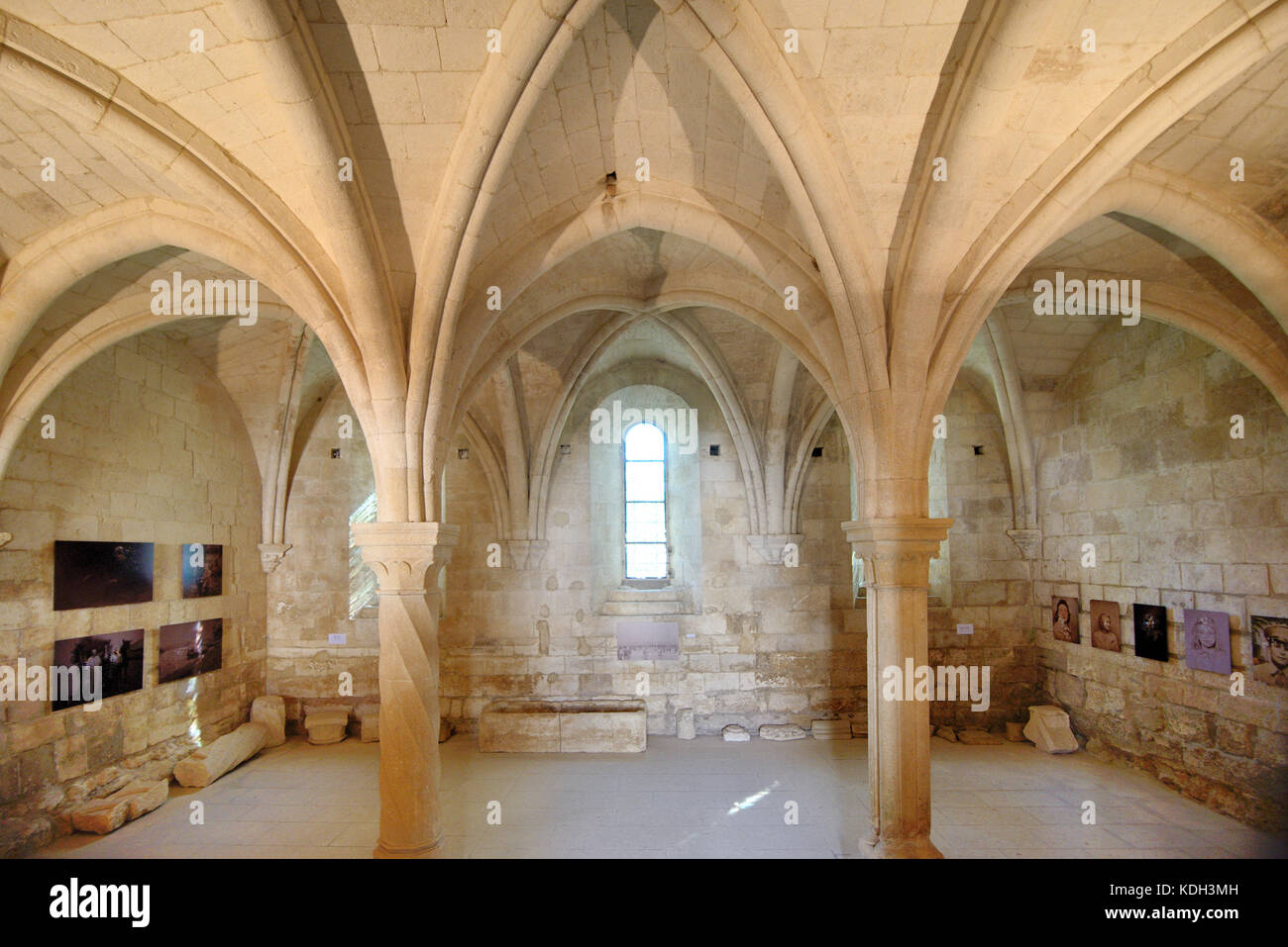 Interno a coste e volte dell'abbazia di Silvacane (F.1144), un ex monastero cistercense, la Roque-d'Anthéon, Provenza, Francia Foto Stock