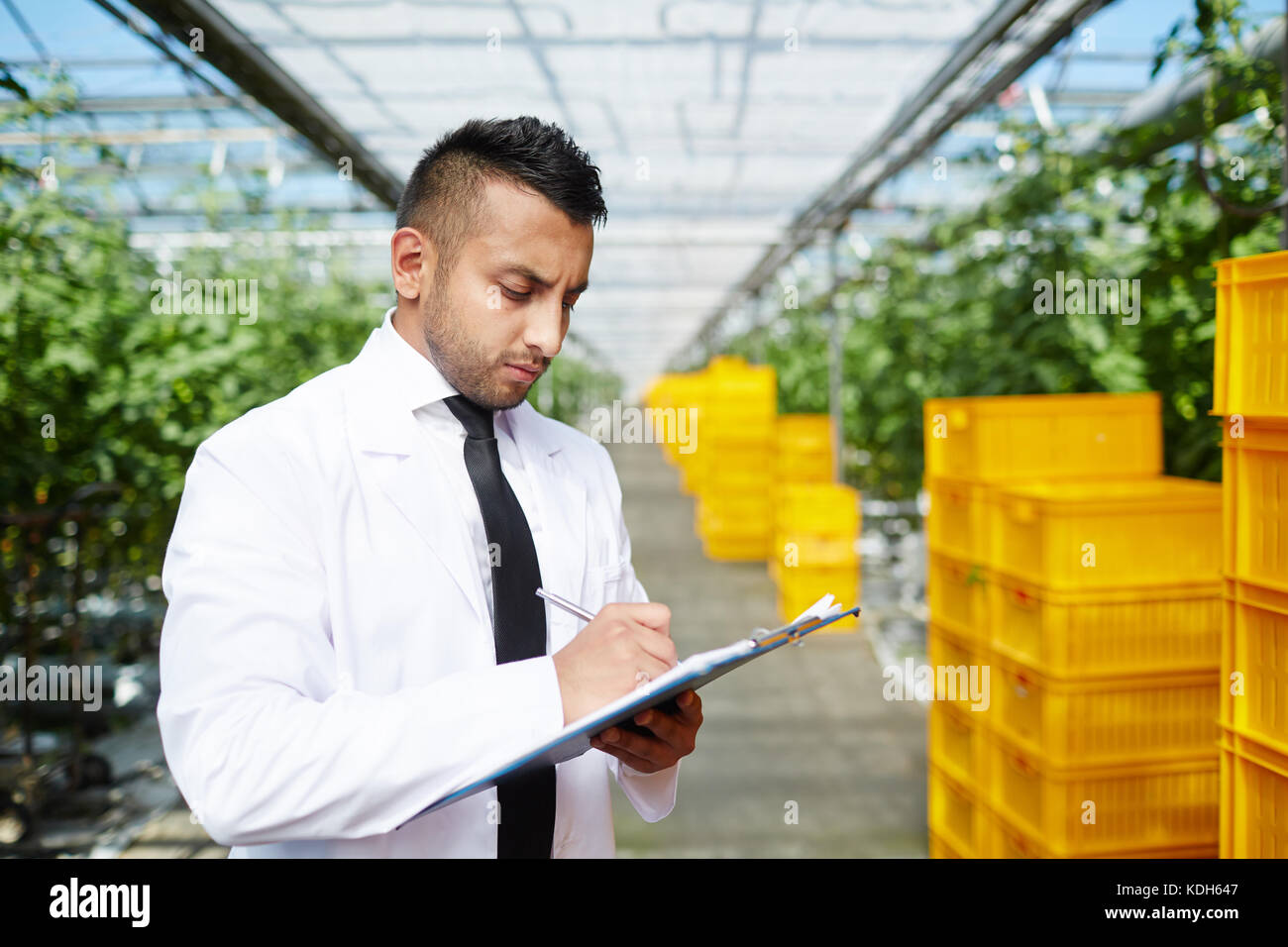 Giovani agro-ingegnere rendendo note su sfondo di tutto l'anno la vegetazione Foto Stock