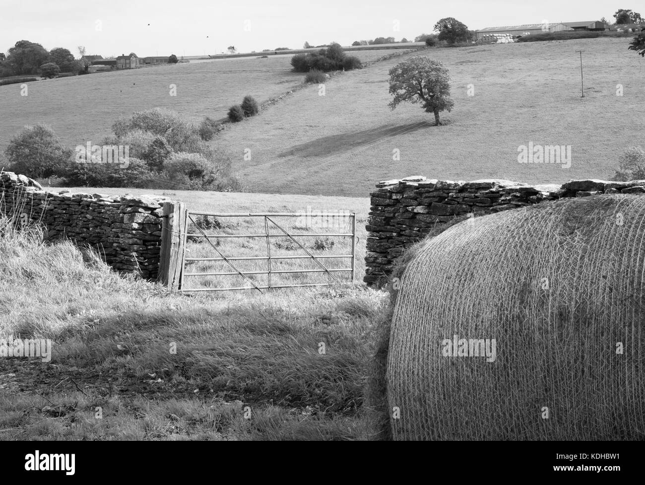 Intorno middledown lane, marshfield, South Gloucestershire England Regno Unito Foto Stock