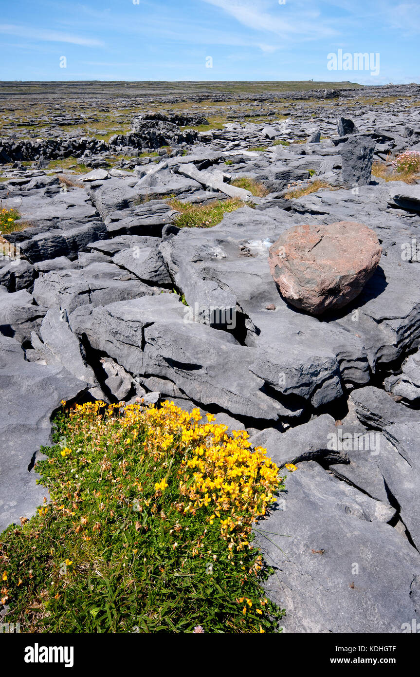 Paesaggio di Inishmore isola nei pressi di rovine di Dun Duchathair (nero Fort), Isole Aran, nella contea di Galway, Irlanda Foto Stock