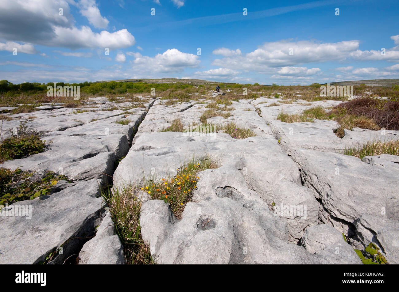 Burren National Park, County Clare, Irlanda Foto Stock