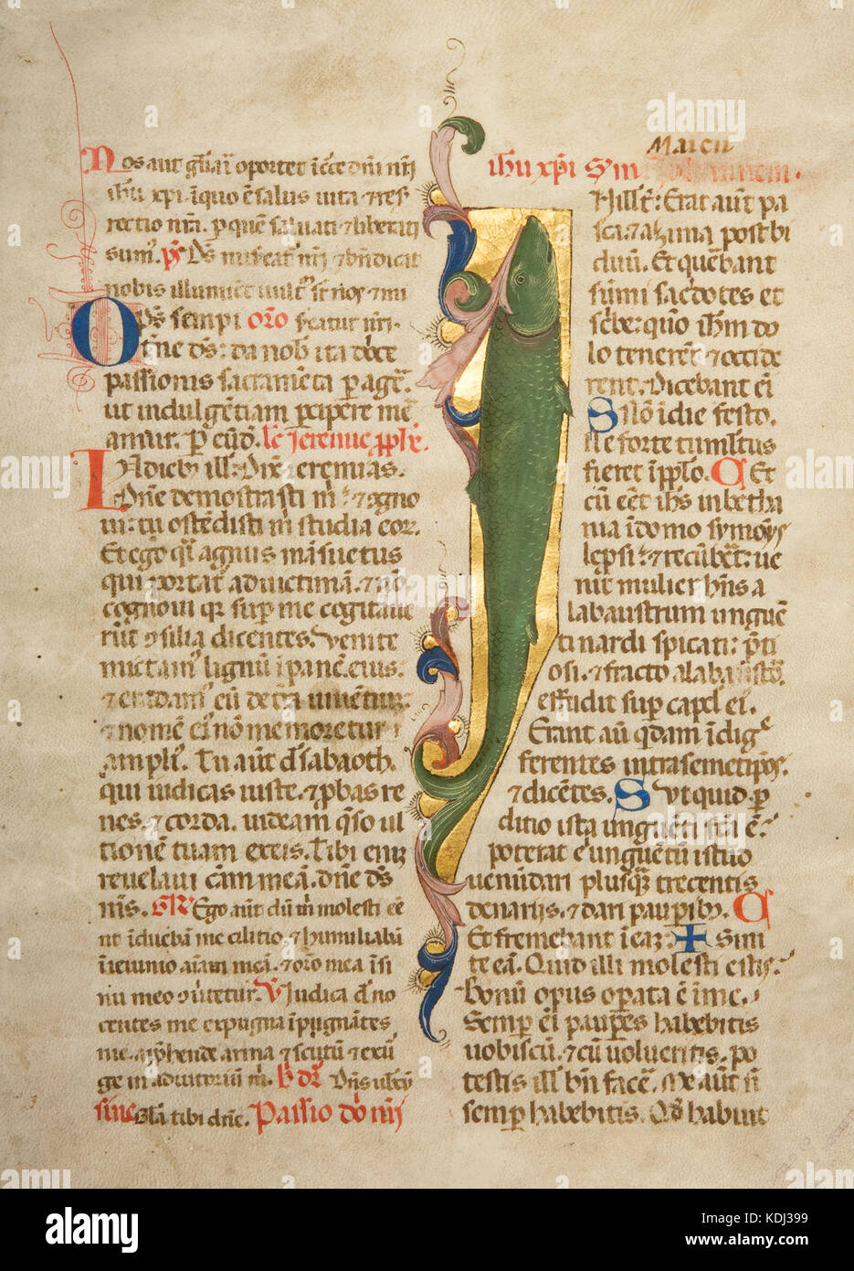 Manoscritto illuminato Messale bifolium da Firenze, Italia, con pesce sul terreno dorato sul recto, ca. 1450 1470 Foto Stock