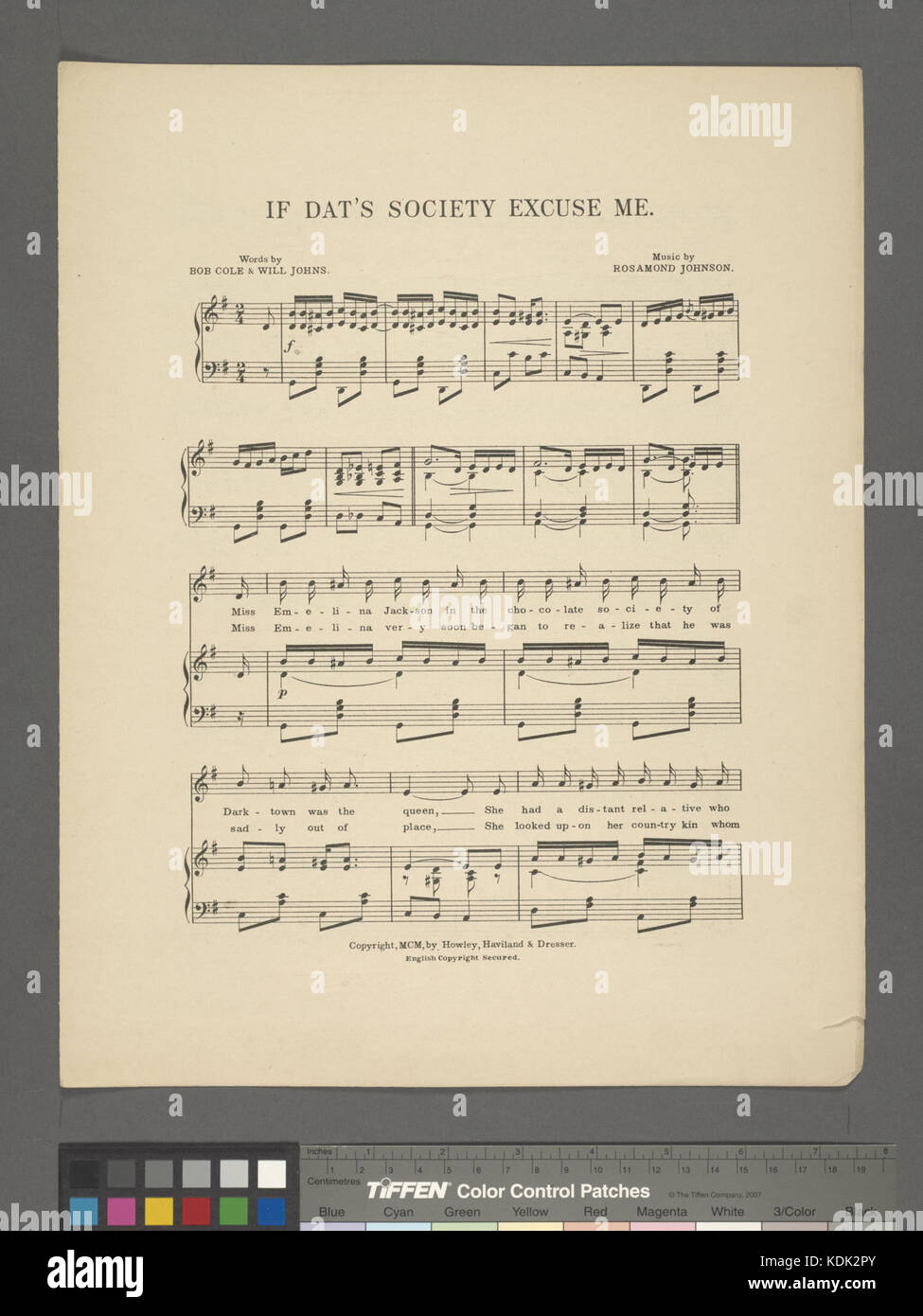 In caso di società, mi scusi (NYPL ADE 609299 1823804) Foto Stock