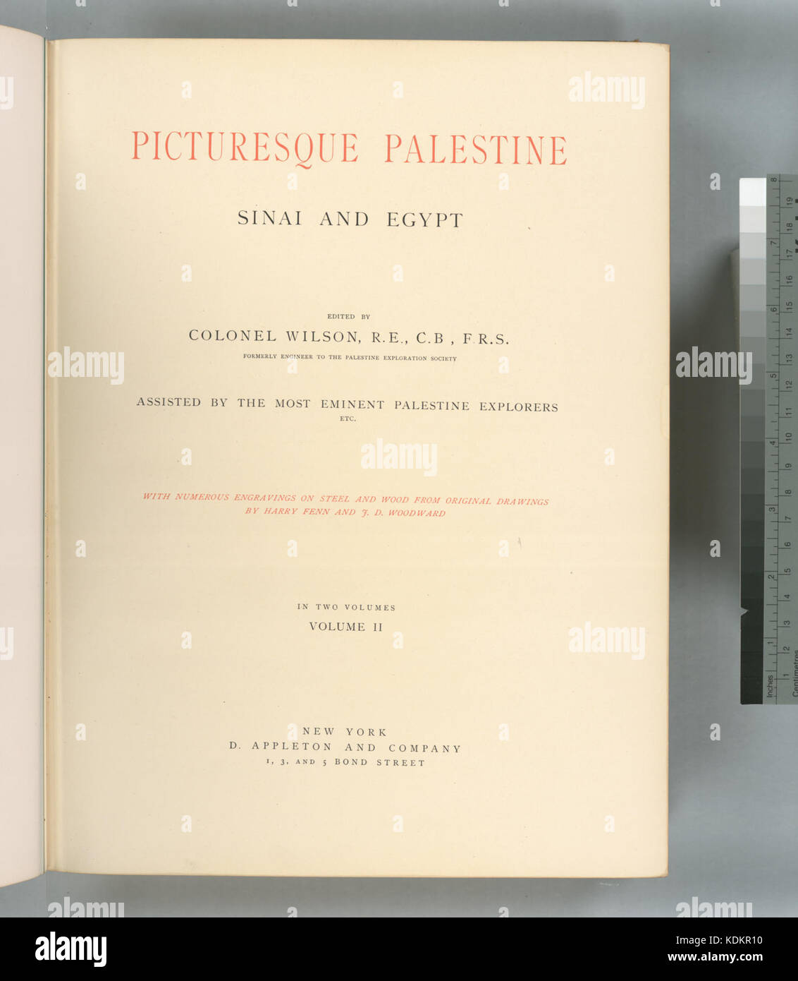 Pittoresca la Palestina, il Sinai e in Egitto . . . Volume II (metà titolo) (NYPL B10607452 80561) Foto Stock