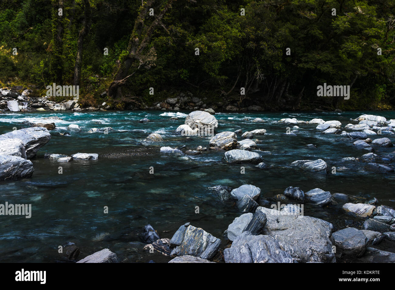 Montare gli aspiranti National Park, West Coast • Nuova Zelanda Foto Stock