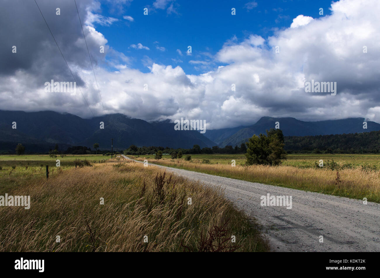 Harihari, costa Ovest • Nuova Zelanda ancora abbastanza vicino per harihari sto guidando la mia moto verso franz josef e in Foto Stock