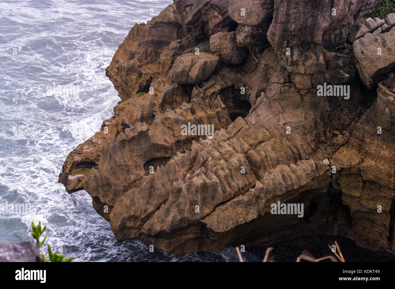 Pancake rocks, punakaiki, costa Ovest • Nuova Zelanda rock formazione guardando come la testa di un dinosauro Foto Stock