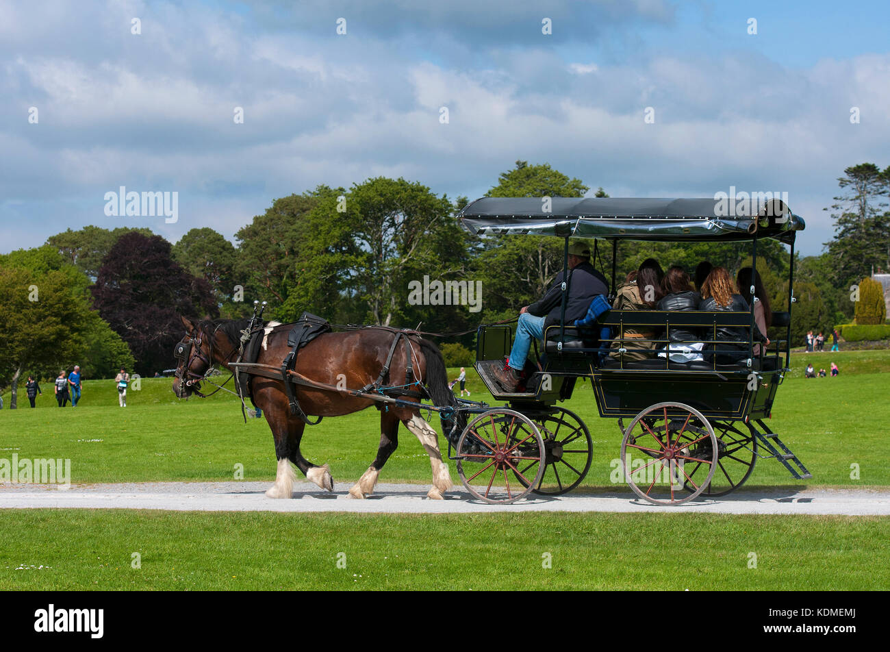 Jaunting auto con i turisti di Muckross House e giardini, Parco Nazionale di Killarney, nella contea di Kerry, Irlanda Foto Stock