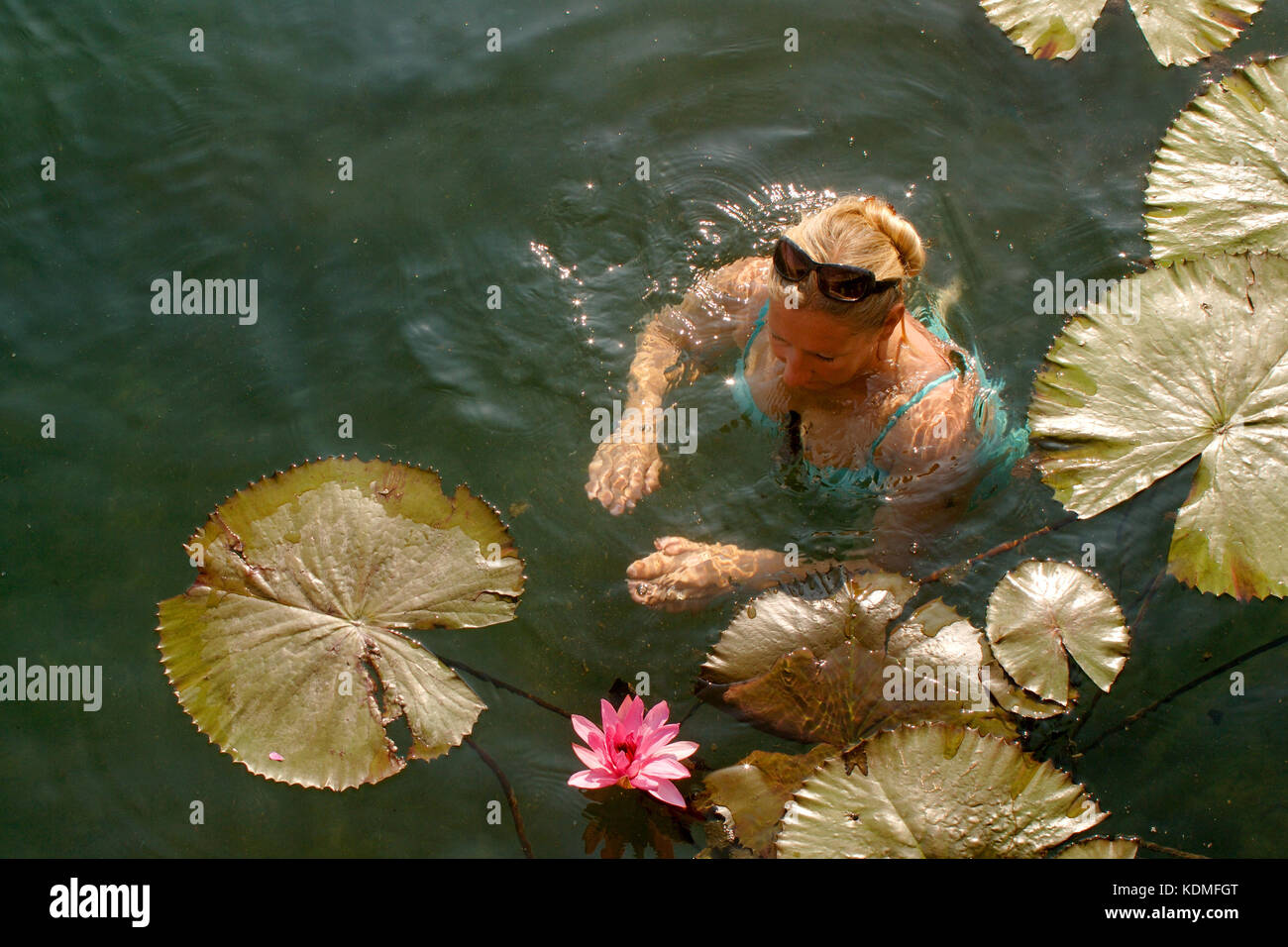 Ungarn, Heviz, Thermalsee, Schwimmerin zwischen Lotusblumen Foto Stock