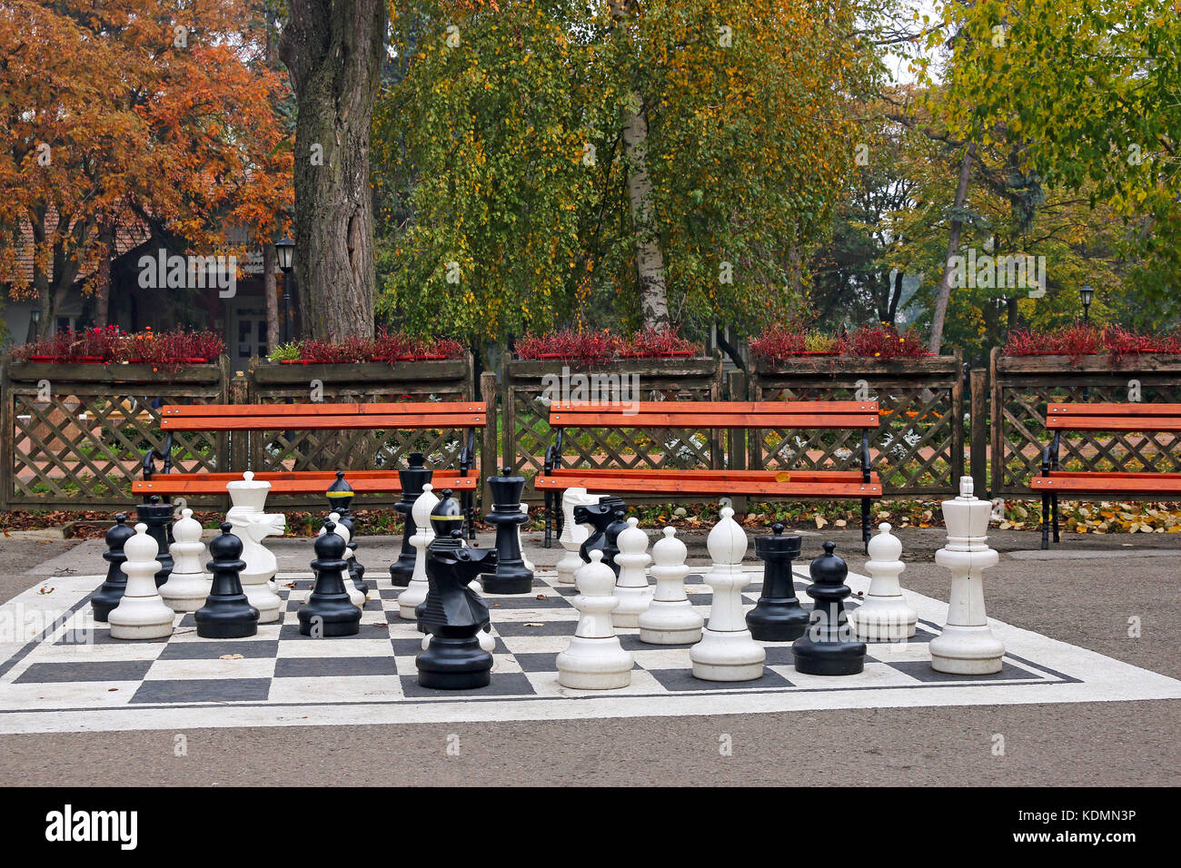 Figure di Scacchi nel parco stagione autunno Foto Stock