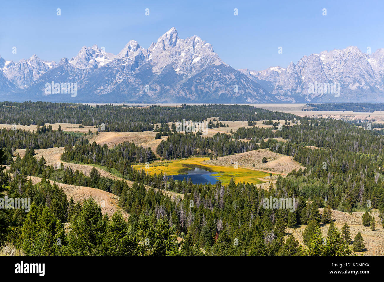 Hedrick stagno si affacciano al Grand Teton National Park, WY, Stati Uniti d'America Foto Stock